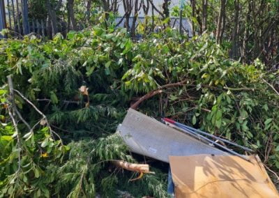 Garden Waste Removal and Garden Clearance - Mr Rubbish Waterford